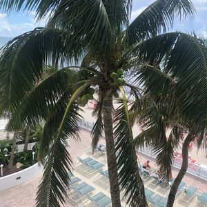 Meet your Posher, Kendal